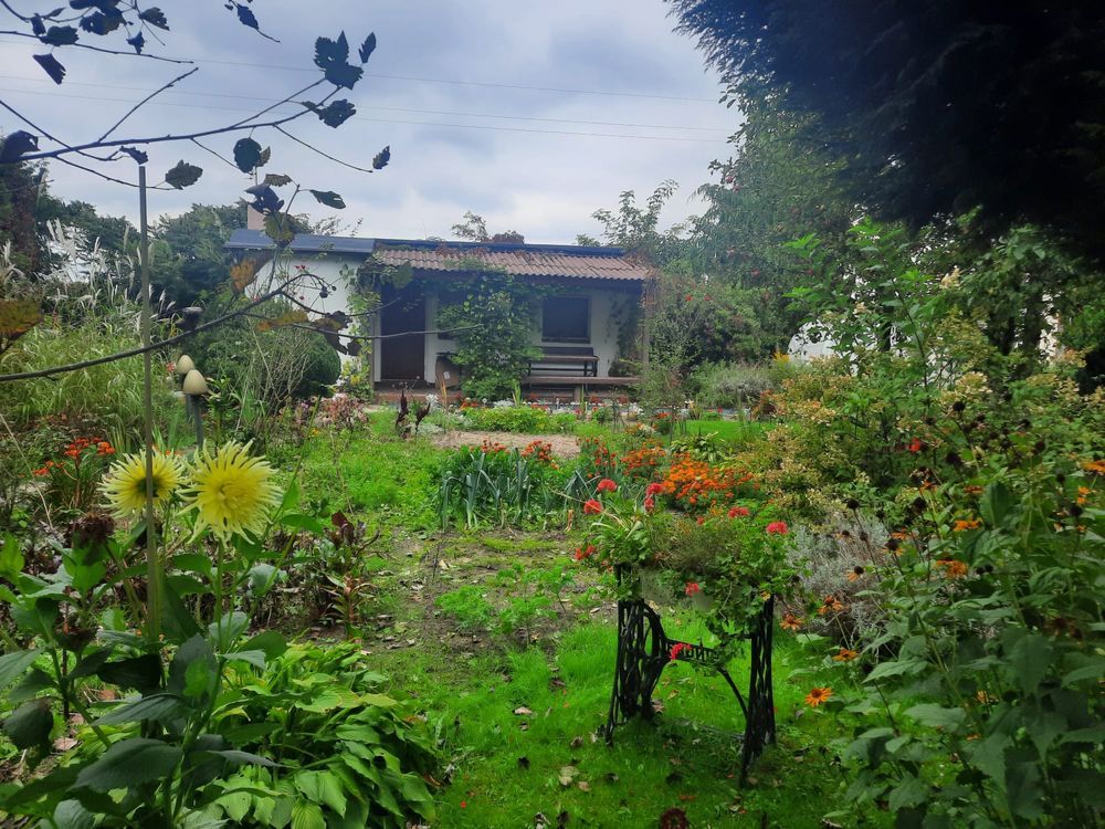 Działka rod Wagowo Wiśniewo. Zdjęcie 4