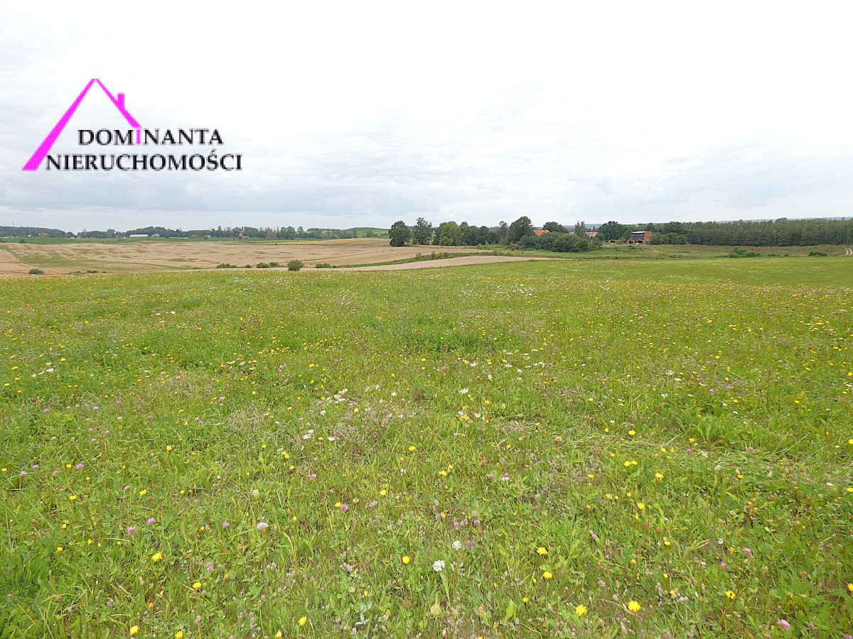 Działka rolna Gronowo. Zdjęcie 14