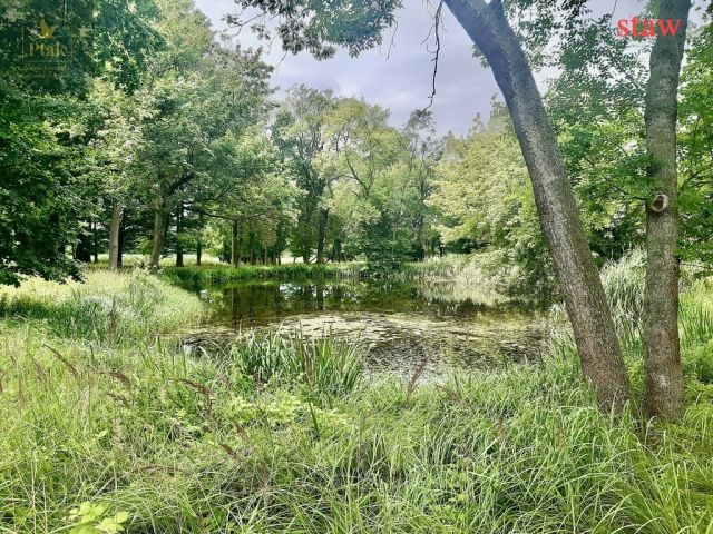 Hotel/pensjonat Bojanowo. Zdjęcie 2