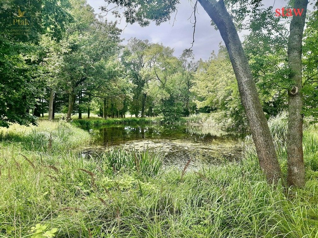 Hotel/pensjonat Bojanowo. Zdjęcie 2