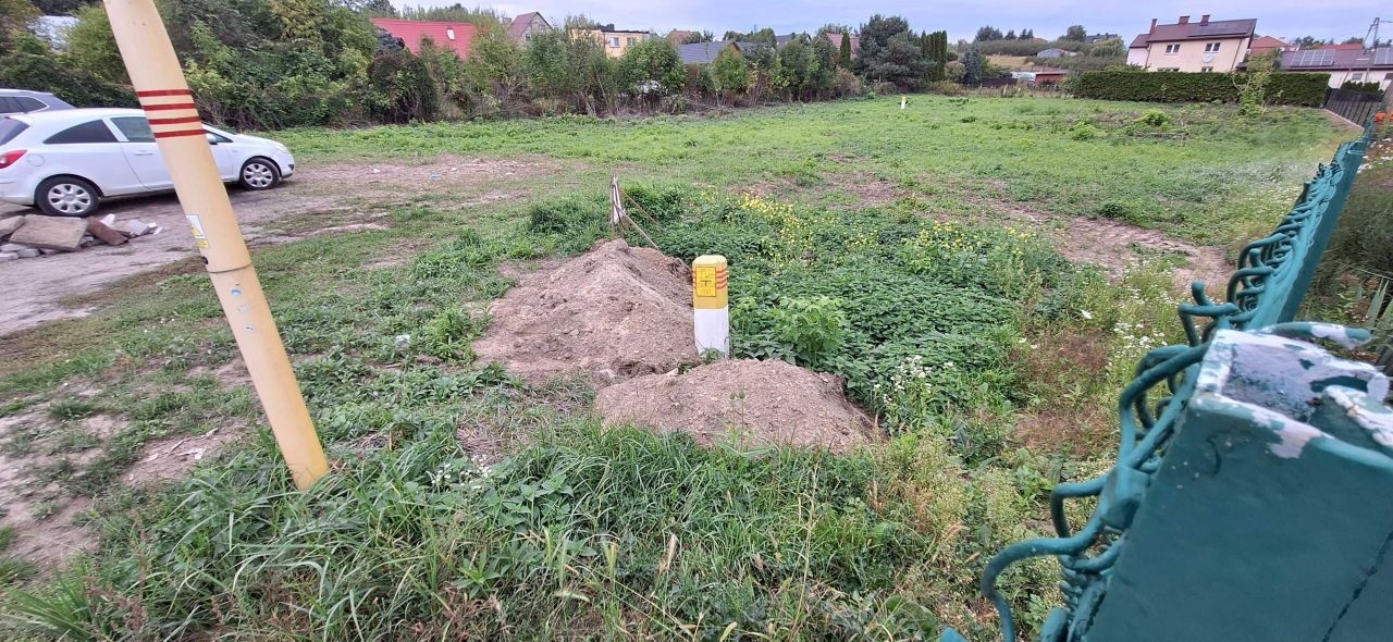 Zdjęcie 5