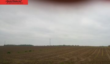 Działka rolna Jabłkowo