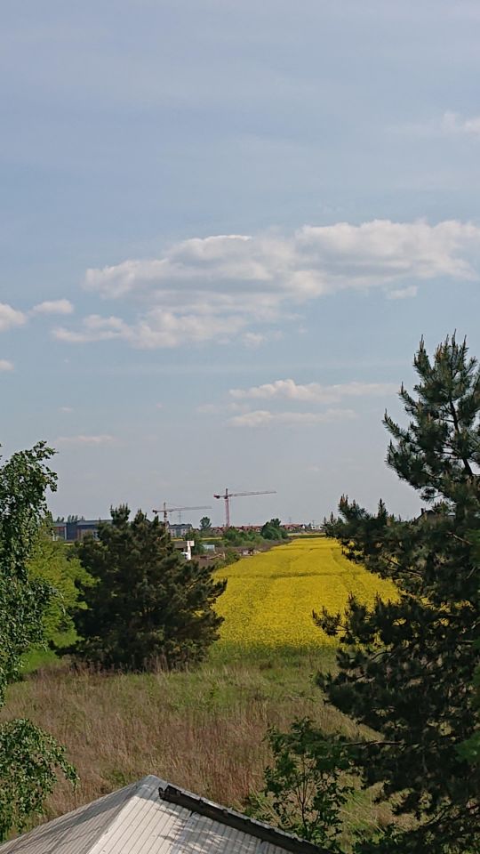 Działka budowlana Łady, ul. Migdałowa. Zdjęcie 6