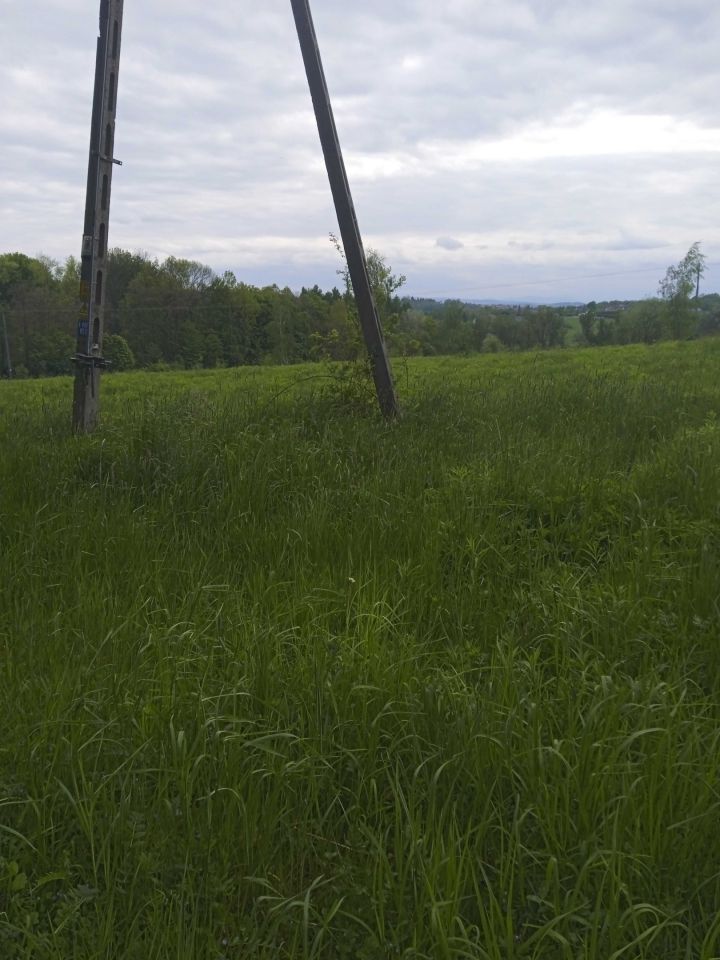 Działka rolno-budowlana Lusina. Zdjęcie 3