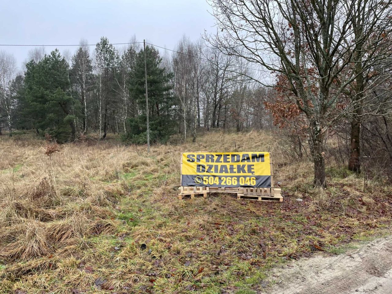 Działka rolna Wiewiecko. Zdjęcie 4