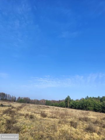 Działka rolno-budowlana Olszewnica Nowa, ul. Spacerowa. Zdjęcie 8
