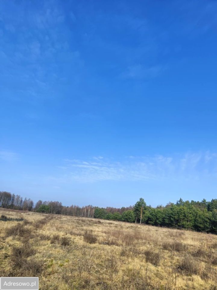 Działka rolna Olszewnica Nowa, ul. Spacerowa. Zdjęcie 11