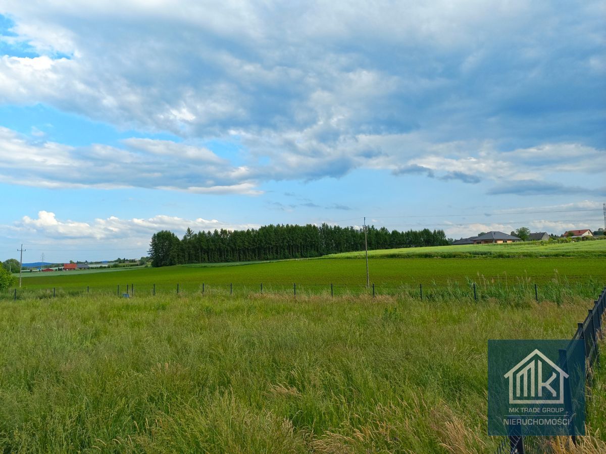 Działka budowlana Dąbrowa. Zdjęcie 5