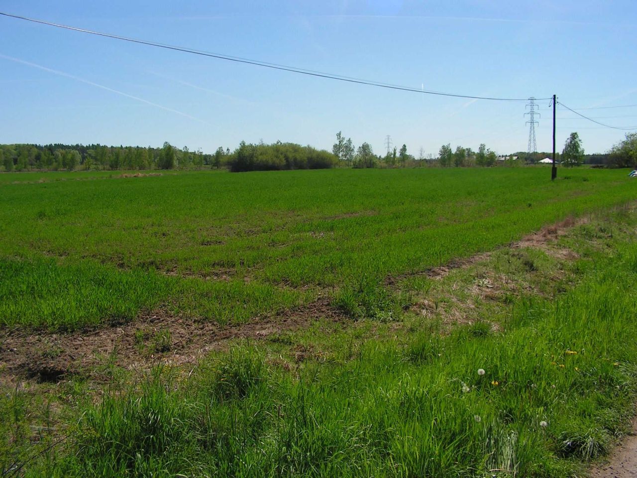 Działka budowlana Zwierzyniec Trzeci. Zdjęcie 5