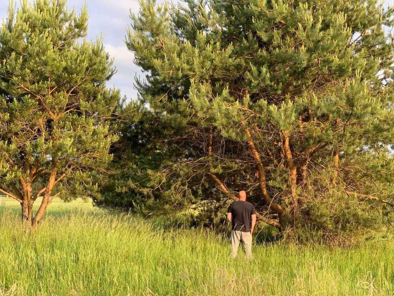 Działka budowlana Bolmin. Zdjęcie 4