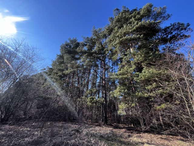 Działka inwestycyjna Maszkowo. Zdjęcie 1