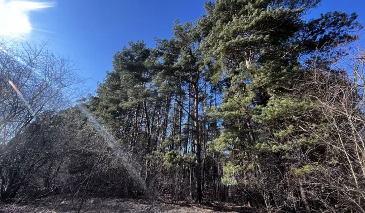 Działka inwestycyjna Maszkowo