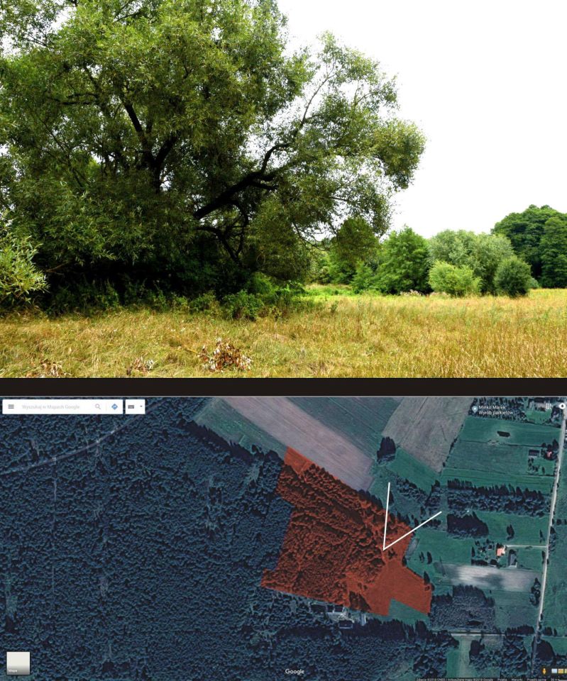 Działka budowlana Turna Duża. Zdjęcie 38