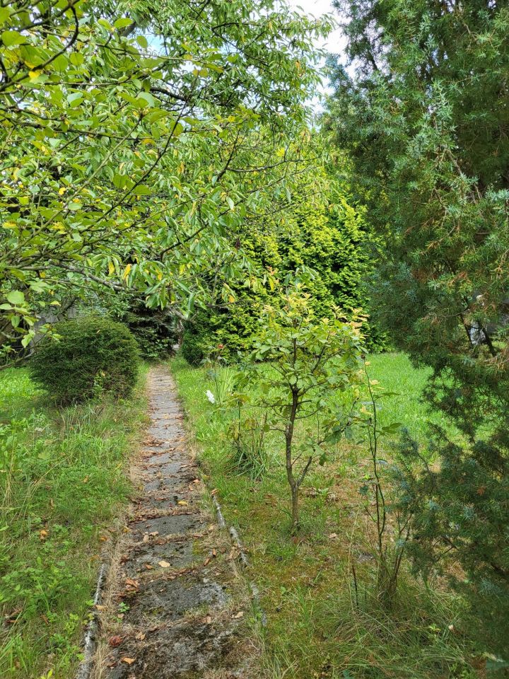 Działka rod Gliwice Sikornik, ul. Czapli. Zdjęcie 3