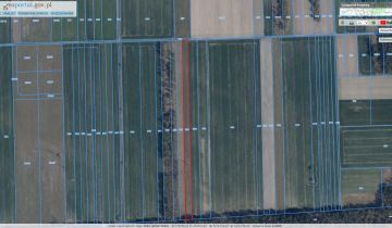 Działka budowlana Niezdrowice, ul. Ogrodowa