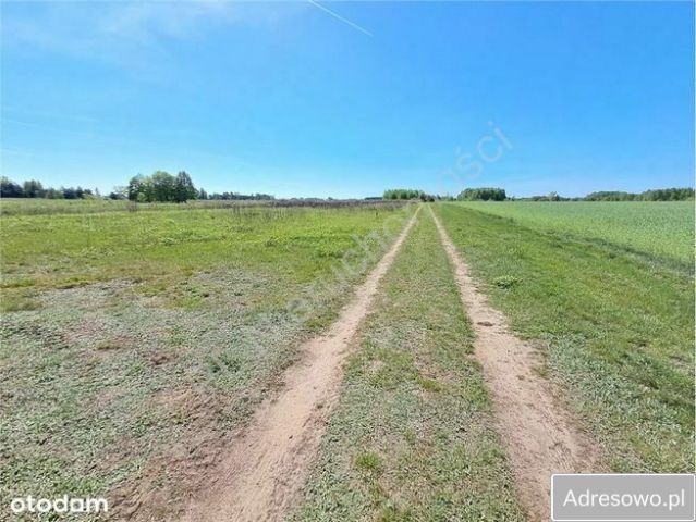 Działka budowlana Leontyna. Zdjęcie 1