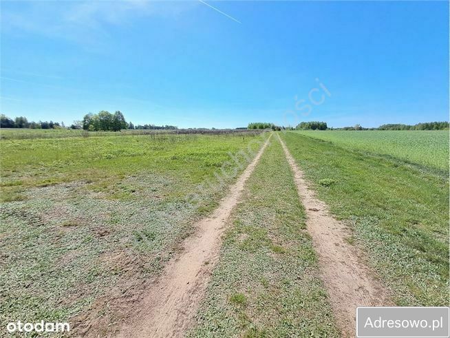 Działka budowlana Leontyna