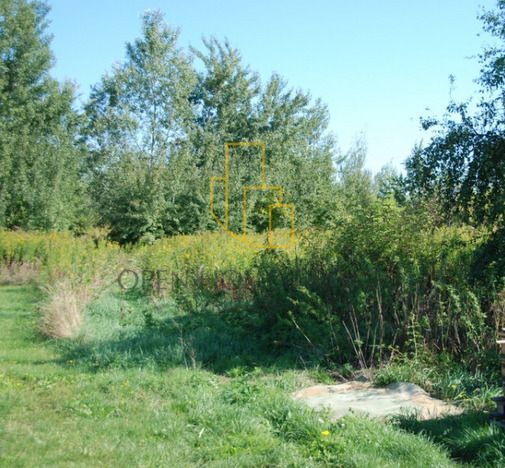 Działka budowlana Radomierzyce. Zdjęcie 6