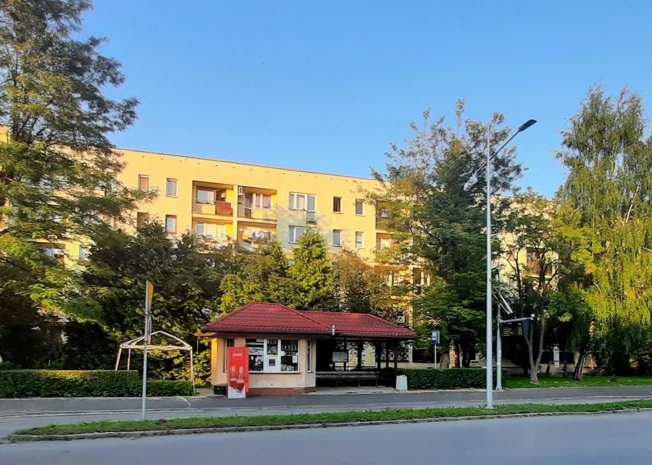 Lokal Żywiec, al. Piłsudskiego. Zdjęcie 2