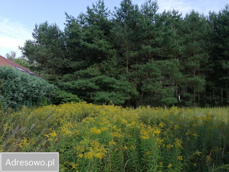 Działka budowlana Pruszowice. Zdjęcie 1