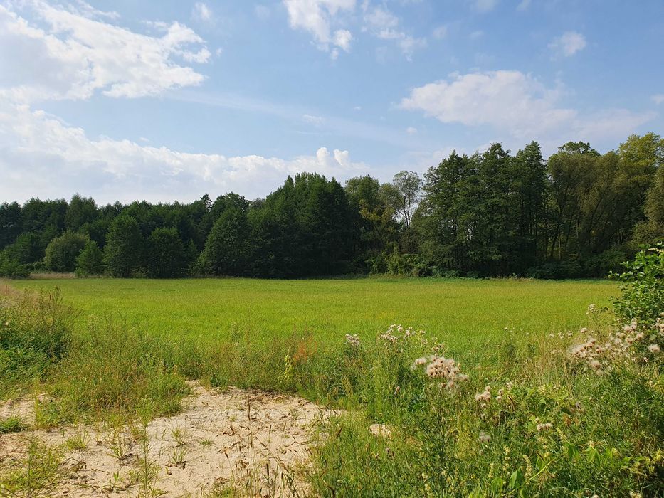 Działka budowlana Tołcze. Zdjęcie 3