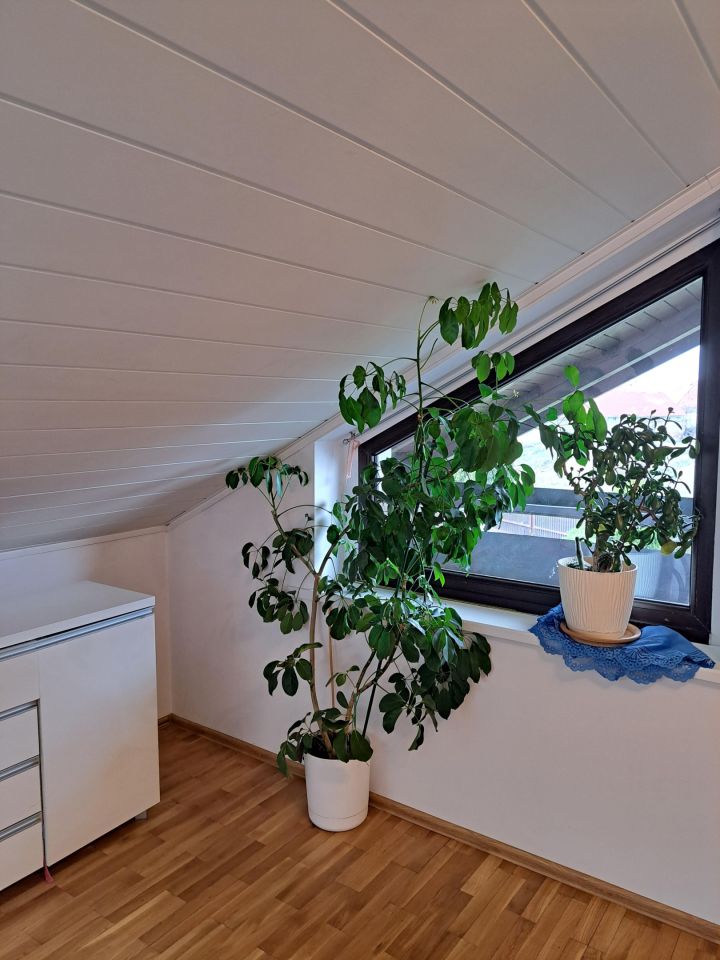 dom wolnostojący, 5 pokoi Długomiłowice Żabnik, ul. Żabnik. Zdjęcie 8