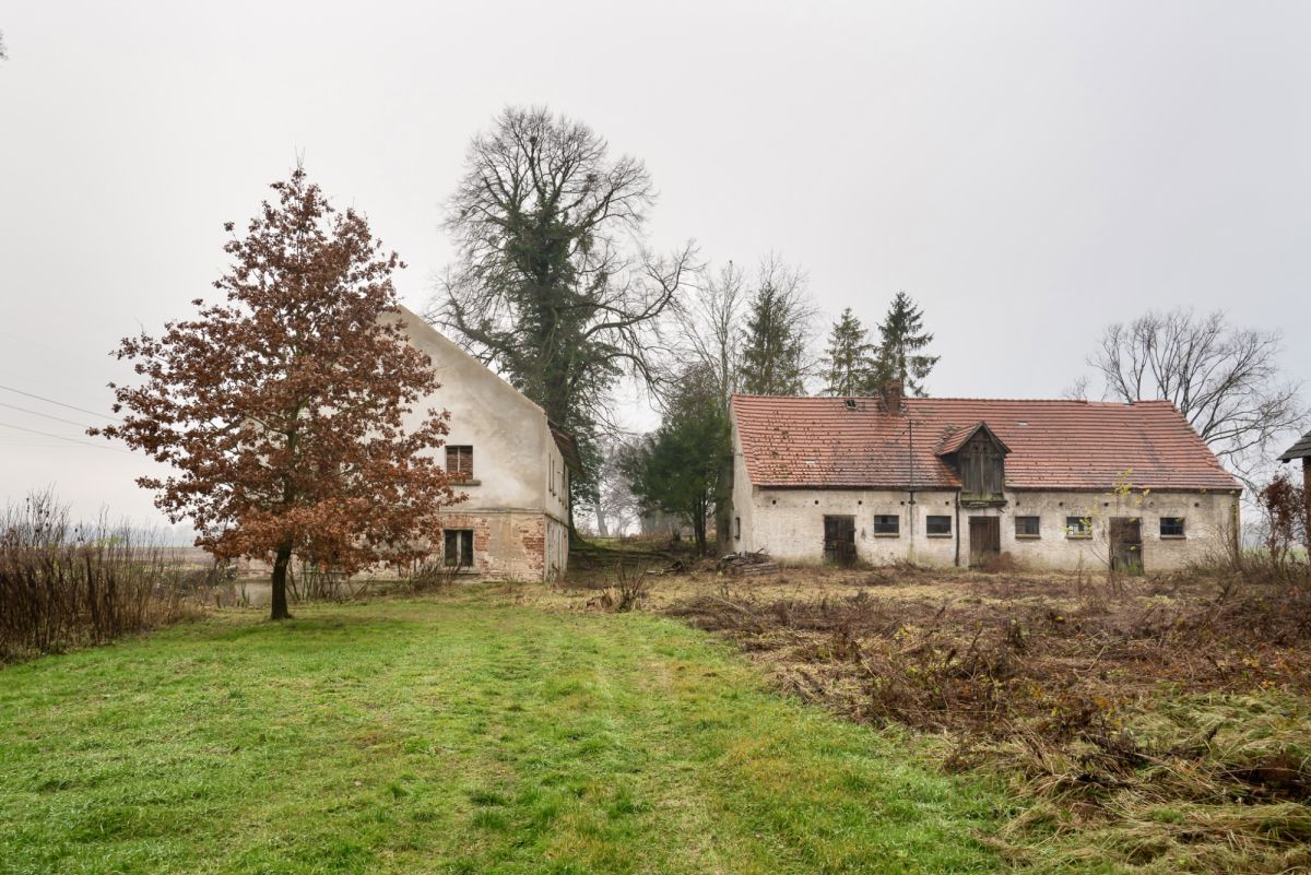 Działka budowlana Siekierowice. Zdjęcie 4