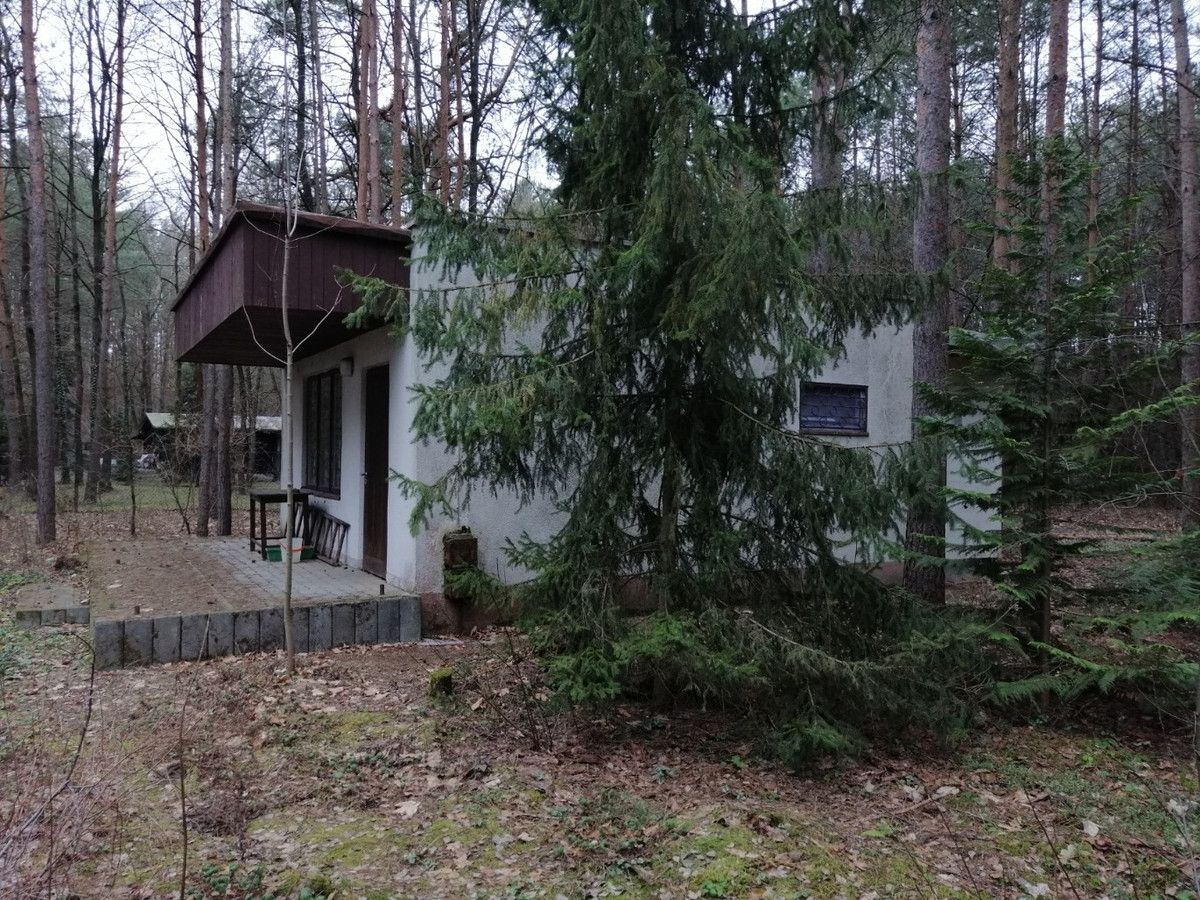 Działka leśna Włodzimierz, ul. Sosnowa. Zdjęcie 13