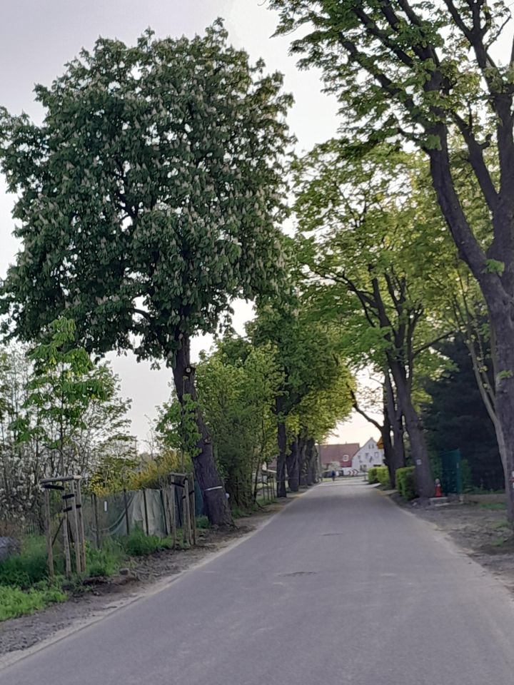 Działka budowlana Lubin Stary Lubin, ul. Przemysłowa. Zdjęcie 2