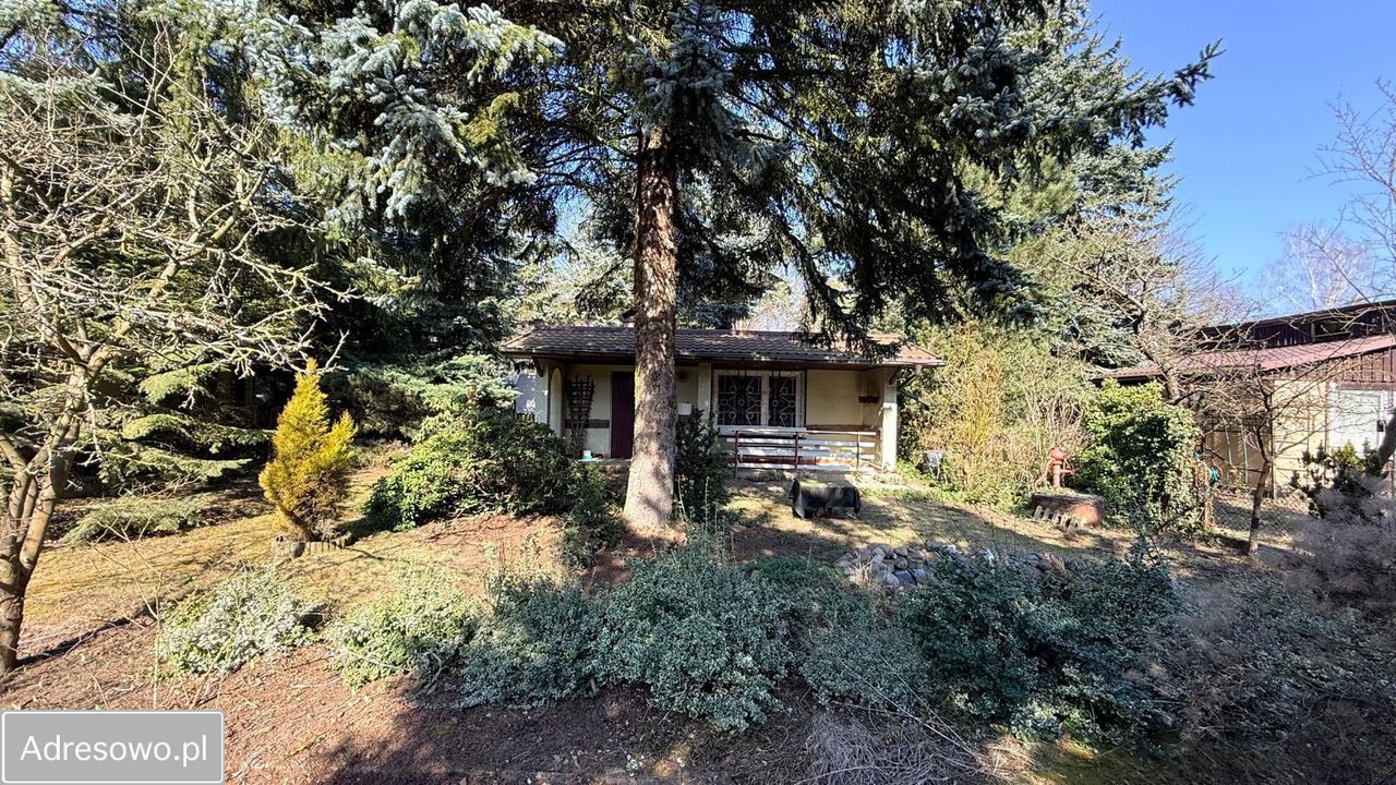 Działka rod Otowo. Zdjęcie 18