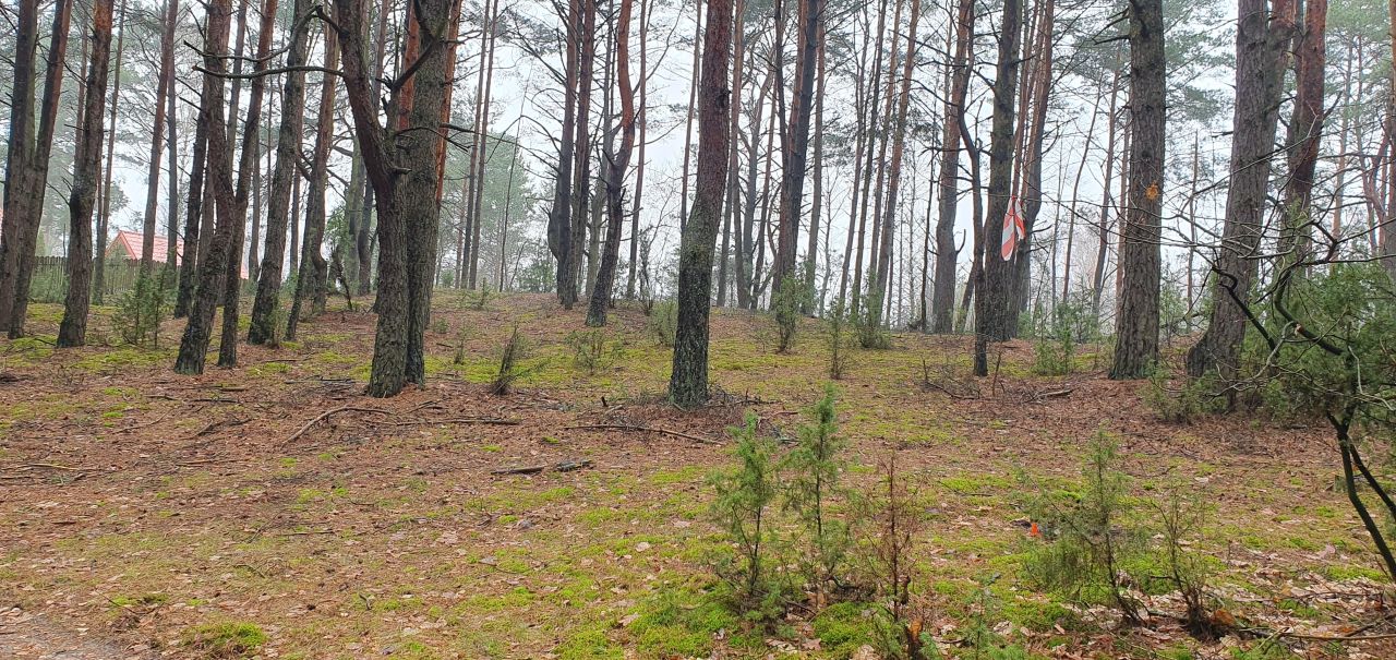 Działka rekreacyjna Nowe Łachy. Zdjęcie 3