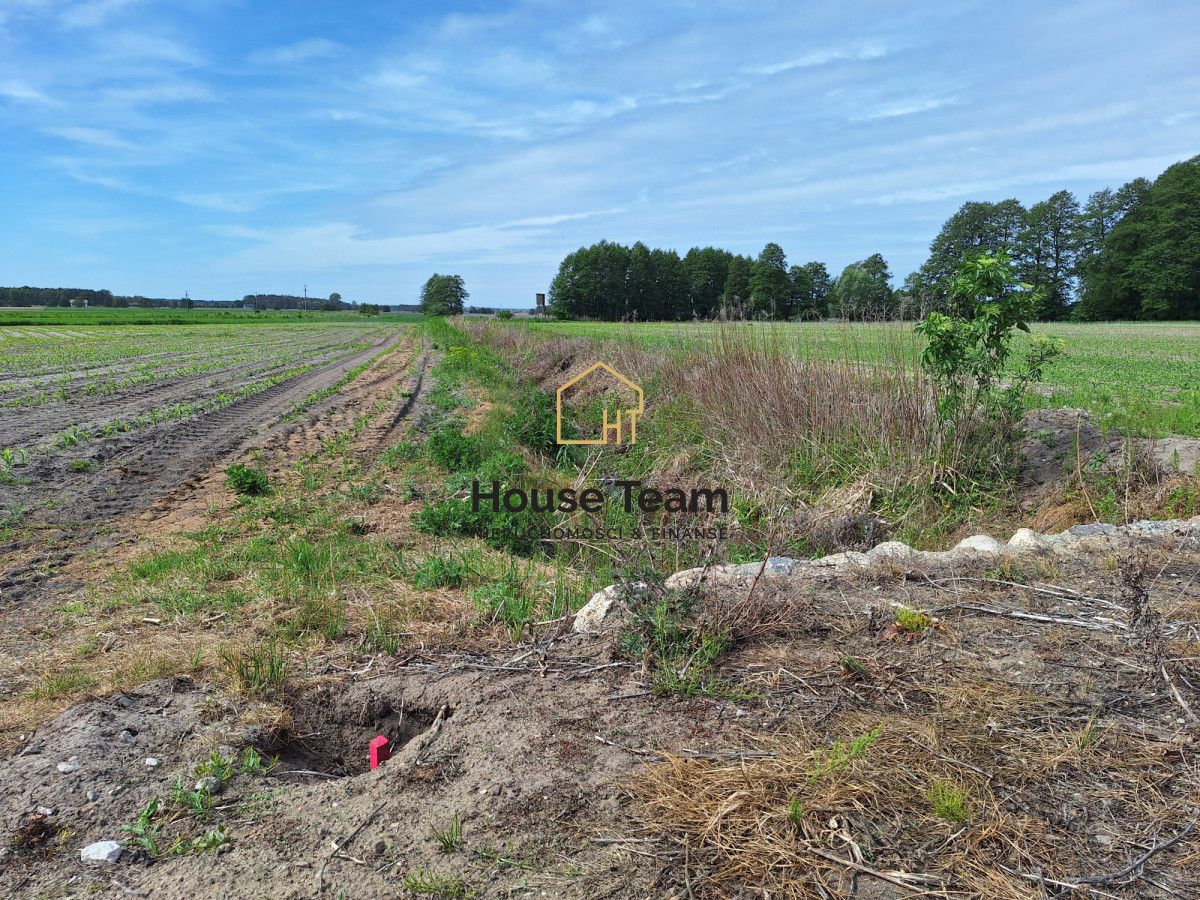 Działka rolna Toporzysko, ul. Podleśna. Zdjęcie 10