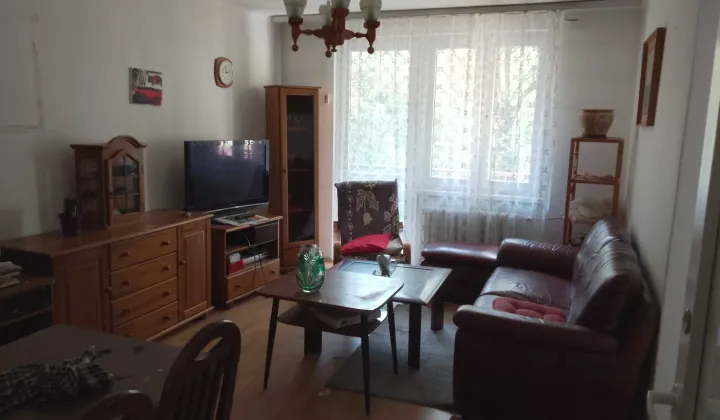 Mieszkanie 3-pokojowe Olkusz Pakuska, al. 1000-lecia