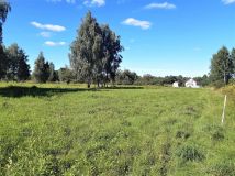 Działka rolno-budowlana Dąbrowa. Zdjęcie 3