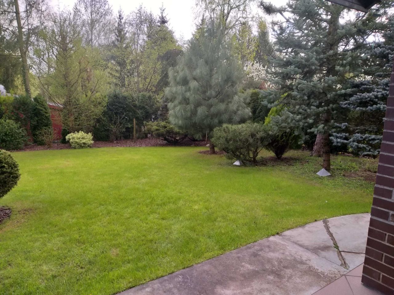 Działka rod Gorzkie Pole, ul. Starych Wierzb. Zdjęcie 5