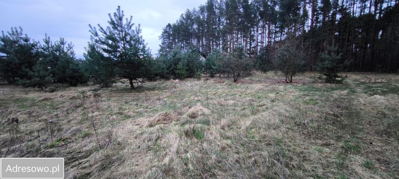Działka budowlana Zielona Góra Ługowo. Zdjęcie 12