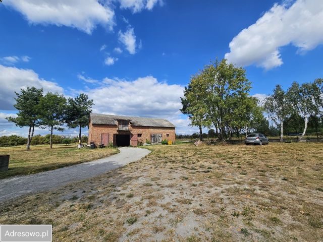 Działka rolno-budowlana Dobrzyniec. Zdjęcie 1