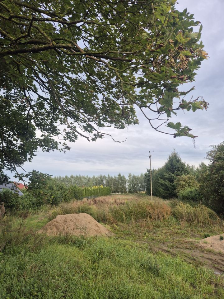 Działka rolna Małkocin. Zdjęcie 3