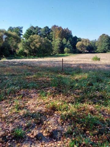 Działka rolno-budowlana Ostrówka. Zdjęcie 1