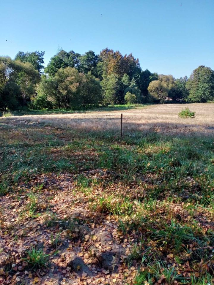 Działka rolno-budowlana Ostrówka. Zdjęcie 1