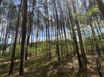 Działka budowlana Dzikowo. Zdjęcie 2