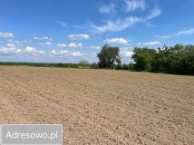 Działka rolno-budowlana Dobroszów. Zdjęcie 3