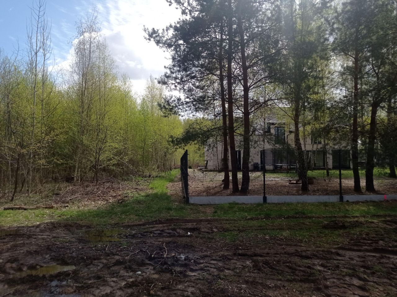 Działka budowlana Strzeniówka, ul. Pruszkowska. Zdjęcie 5