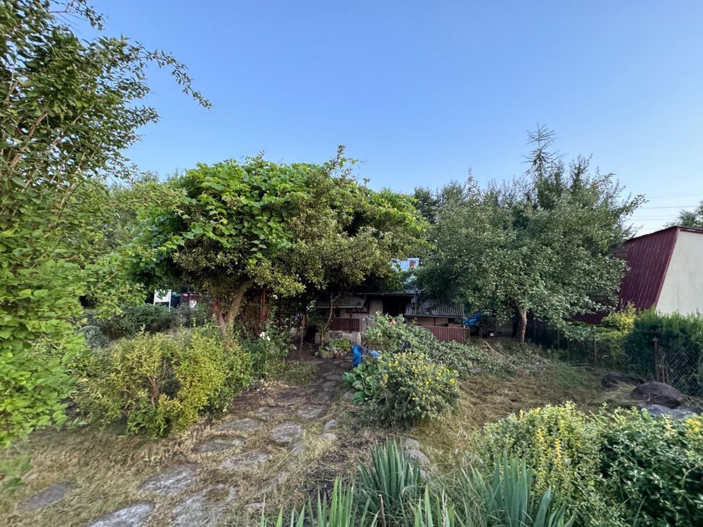 Działka rod Zduńska Wola. Zdjęcie 7