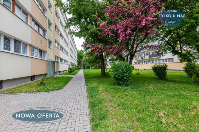 Mieszkanie 2-pokojowe Łódź Bałuty, ul. Wici. Zdjęcie 8