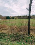 Działka budowlana Kolonia Pożdżenice. Zdjęcie 1
