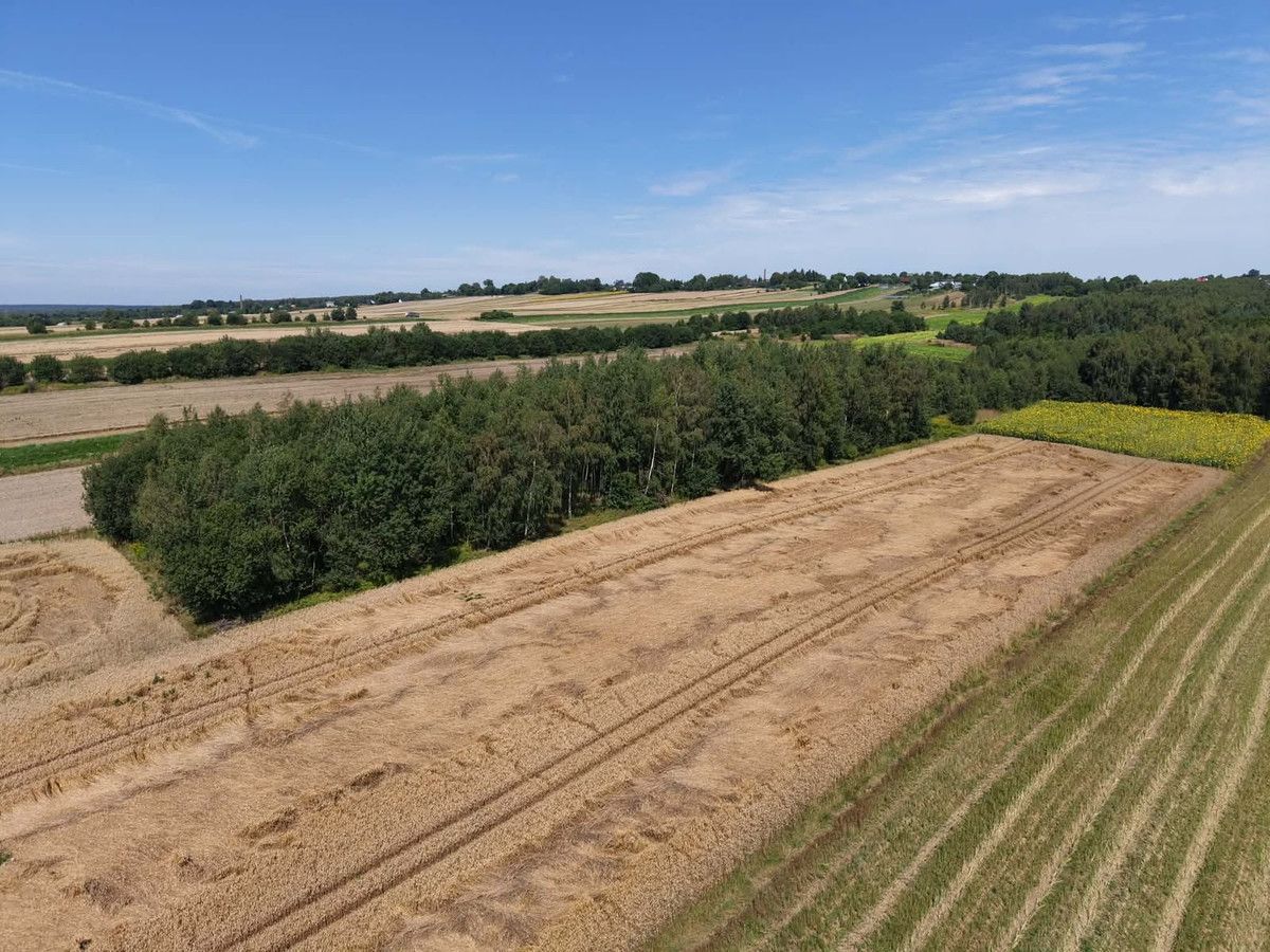 Działka inwestycyjna Majdan Górny, ul. Polesie. Zdjęcie 6