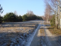 Działka rolno-budowlana Rędziny. Zdjęcie 3