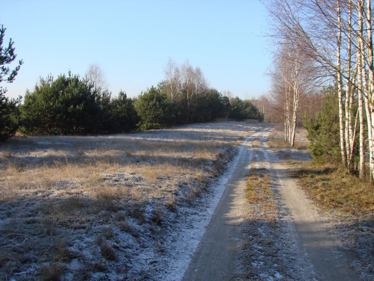 Działka rolno-budowlana Rędziny. Zdjęcie 4