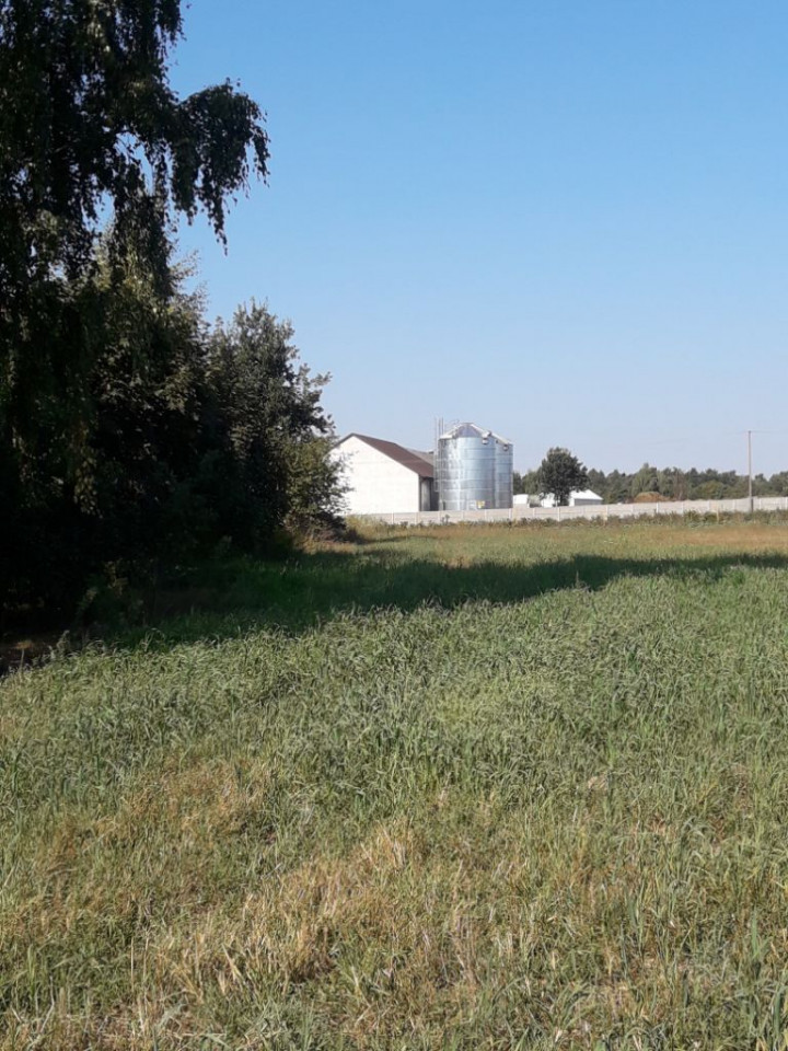 Działka inwestycyjna Warszewice. Zdjęcie 3